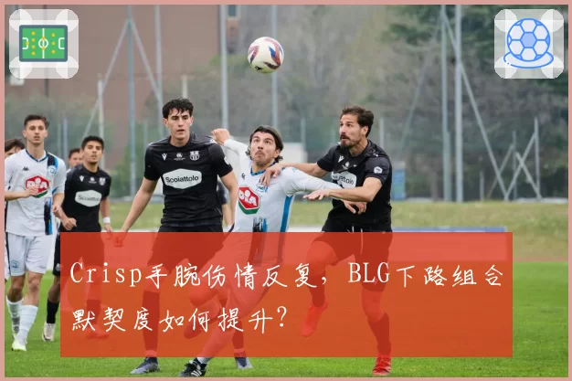 Crisp手腕伤情反复,BLG下路组合默契度如何提升?